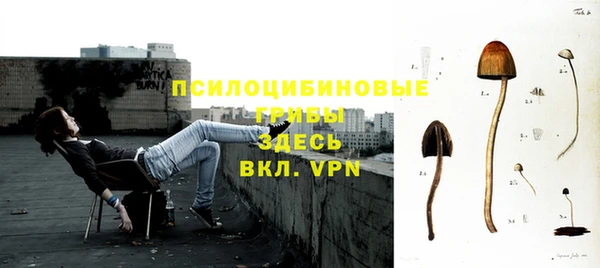герыч Пестово