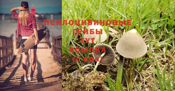каннабис Пересвет