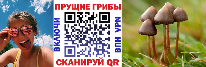 Псилоцибиновые грибы Magic Shrooms  магазин продажи наркотиков  Алушта 
