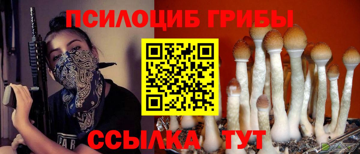 Алушта  Галлюциногенные грибы Cubensis  Вход с VPN 