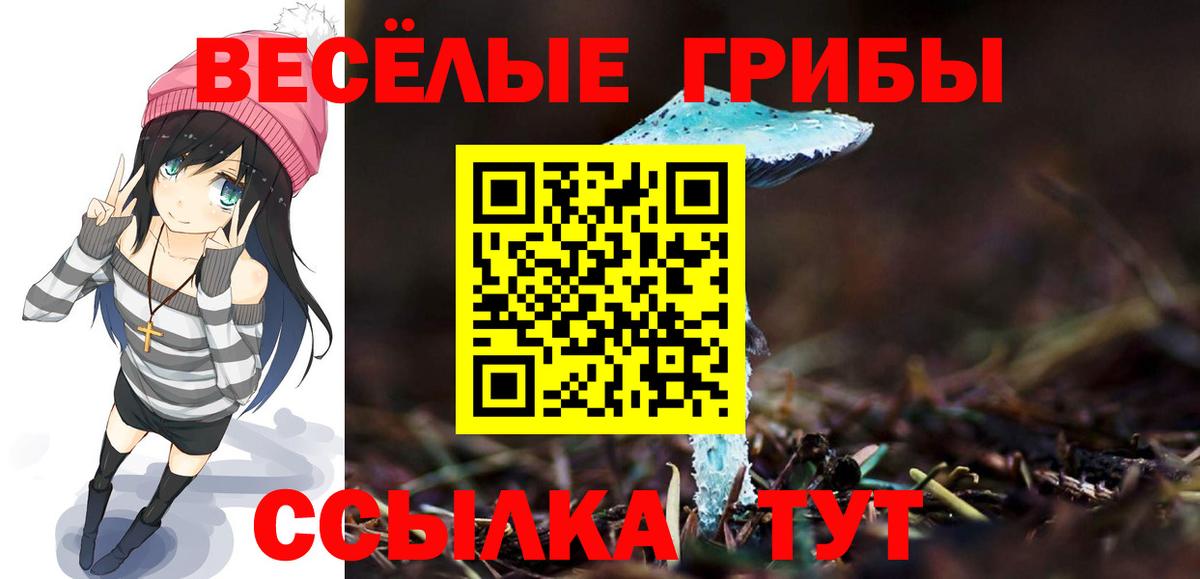 Псилоцибиновые грибы ЛСД Алушта