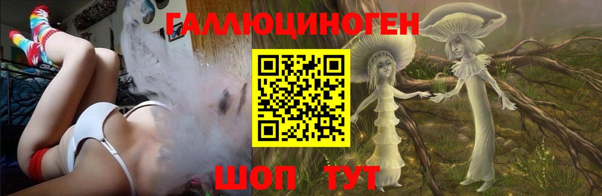 Псилоцибиновые грибы прущие грибы  Алушта 